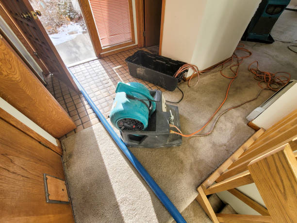  Lapwai, ID Water damage restoration Pros