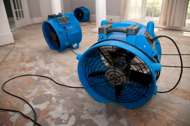 Best Basement water damage restoration  in Lapwai, ID