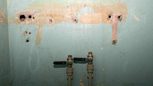 Best Professional water damage repair  in Lapwai, ID