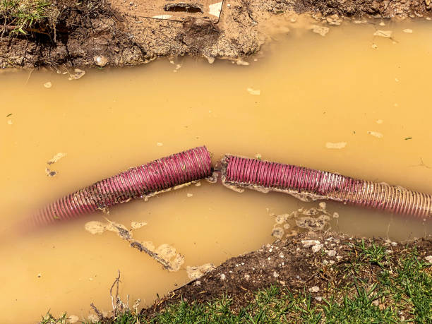 Best Sewage cleanup and water damage restoration  in Lapwai, ID